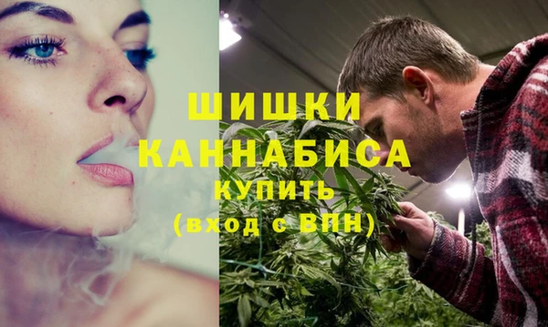 бошки Осинники